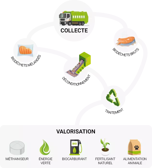 Eco Recycling opte pour une collecte et valorisation optimisée des bio-déchets.